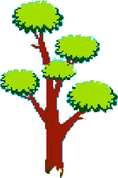 three-img
